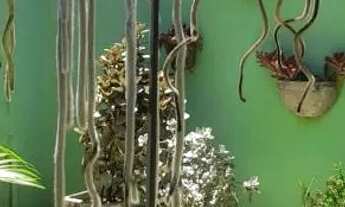 Imagem 7: Vendo excelente casa no Janga