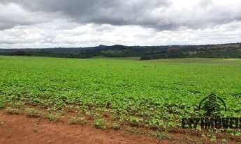 Imagem 6: FAZENDA EM DOVERLÂNDIA - GO