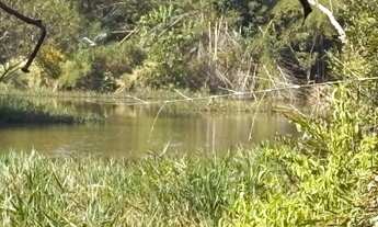 Imagem 7: 2 hectares Terreno / lote com venda por R$370.000