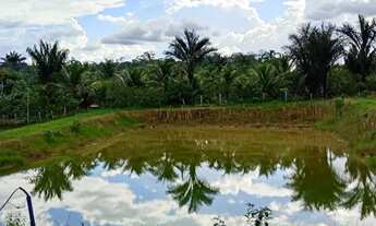 Imagem 3: Sítio Chácara com venda por R$450.000