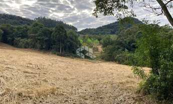 Imagem 6: Chácara com casa e ótimo aproveitamento