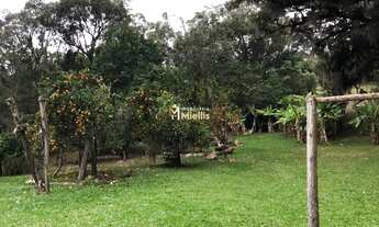 Imagem 7: Sítio com casa de alvenaria - Praia das Pombas Itapuã. Ref.