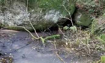 Imagem: Área de terra bairro Linha Olinda, Nova