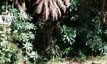 Imagem 7: Chácara em Rua Pedro de Oliveira Ramalho - Loteamento Caminhos do Sol - Itatiba/SP
