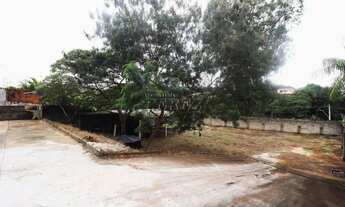 Imagem 5: Barracão para alugar no Jardim Europa, região sul de Londrina