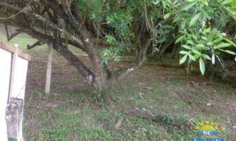 Imagem 3: Terreno próximo à avenida principal do Santinho