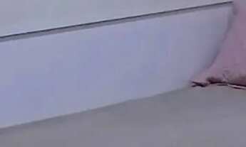 Imagem 2: Sítio / Chácara para Venda em Rio de Janeiro, Pedra de guaratiba, 3 dormitórios, 1 suíte