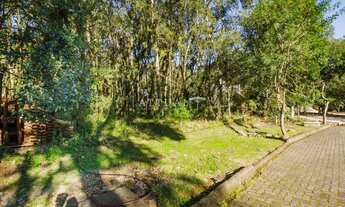 Imagem: PINHEIRO GROSSO