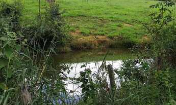 Imagem 3: Vendo chcara Fazenda / sítio com venda por R$2.500.000