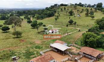 Imagem 2: Fazenda 240 alqueires ( 1.161 hectares ) Israelândia - GO