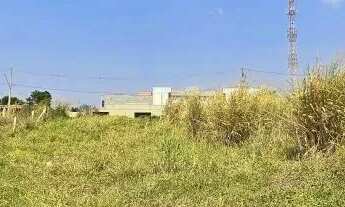 Imagem 6: TERRENO - JARDIM JUREMA - SP