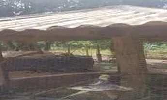 Imagem 3: Vende chácara com 2 quartos na Fercal Sobradinho DF