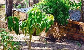 Imagem 2: Casa com terreno no Camboa