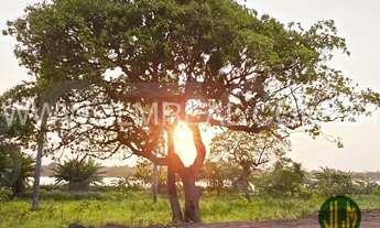 Imagem 5: TERRENO PARA VENDA NO LOTEAMENTO LAGO MONTENEGRO - FORTALEZA - CE