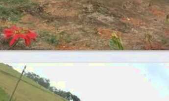 Imagem 7: Casarão Guarapari-baías pra cavalos-pets-entrada privada-cercada troco-leia-parcelo