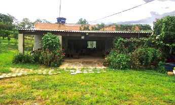 Imagem 5: Chacara 4000 mts