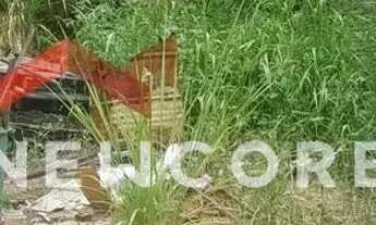 Imagem 2: Lote em Rua Amélia Procópio Correia - Vila Bom Retiro - Sabará/MG