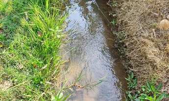 Imagem 6: Chácara na Gameleira de Goiás