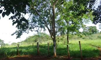 Imagem 5: Sítio com 5 alqueires para locação - Jardinópolis