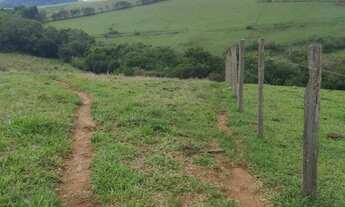 Imagem 5: Oportunidade no Sul de Minas - Sítio em Ipuiuna - 2,5 alqueires