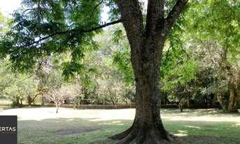 Imagem 7: Sitio Viamão Fazenda / sítio com venda por R$630.000