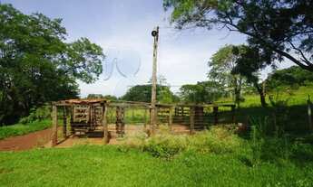 Imagem 7: Sítio com 5 alqueires para locação - Jardinópolis