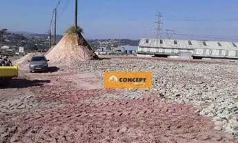 Imagem 6: Área, 11447 m² - venda por R$ 3.300.000,00 ou aluguel por R$ 10.297,00/mês - Palmeiras de