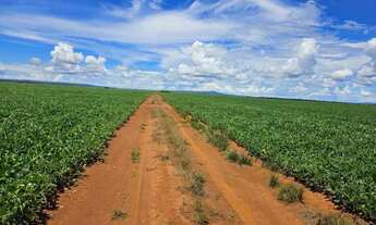 Imagem 2: Fazenda arrendamento 1.050 hec em montes claros Goiás