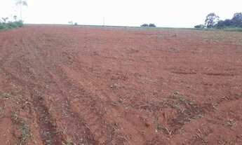 Imagem 7: Chacara para venda 3,5 alqueires em Zona Rural - Itaberaí - GO