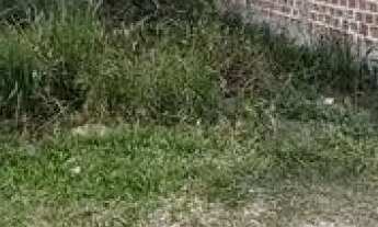 Imagem: Terreno à venda em 27 LINDÓIA, Pelotas