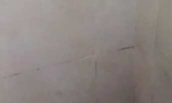 Imagem 2: Kitnetes Kitnet com 1 banheiro