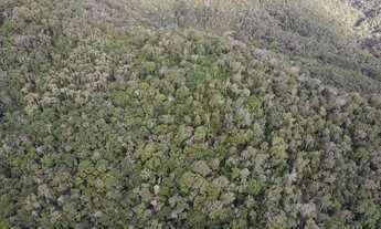 Imagem 5: Chácara 63.000 m em Campo Magro- Paraná