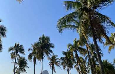 Imagem: KITNET CARNAVAL RJ