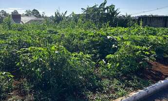 Imagem 2: Venda Terreno / lote com venda por R$240.000