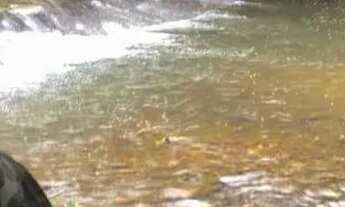 Imagem 7: Chácara 20 mil m2 98.000,00 Rio