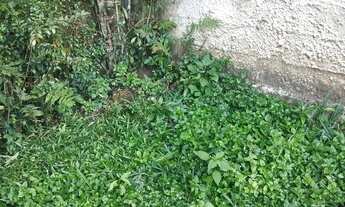 Imagem 7: Terreno são José dos Pinhais,contenda