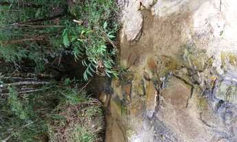 Imagem 5: Chácaras Agroecológicas