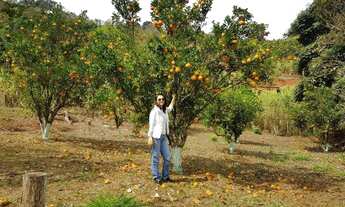 Imagem 4: Chácara em Aracruz