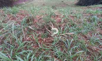Imagem 3: Terreno à venda, 1010 m² por R$ 750.000,00 - Condomínio Estância Marambaia - Vinhedo/SP
