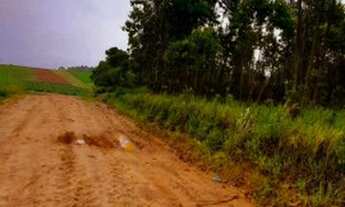 Imagem 4: W.N.S LOTE COM 1000M A VENDA DIRETO COM O PROPRIETARIO