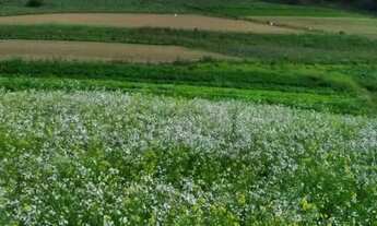 Imagem 5: Lote/Terreno para venda com 1000 metros quadrados em Centro - Mairiporã - SP