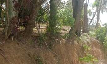 Imagem 6: Sítio venda possui 21mil metros quadrados com uma casinha 3 quartos 500 metros da rodovia