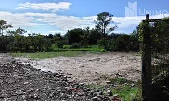 Imagem 7: Terreno - Amarais - Campinas