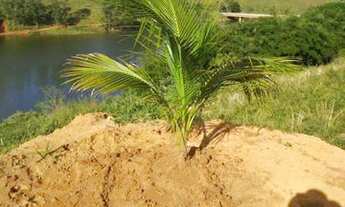 Imagem 3: Santos Dumont - Terreno Padrão - Portal das Aguas