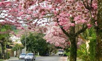 Imagem 4: Terreno - Loteamento Caminhos de Sao Conrado (Sousas) - Campinas