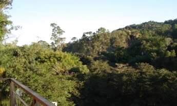 Imagem 5: Chácara - Joaquim Egídio - Campinas