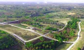 Imagem 2: São 10 lotes + 1 casa construída em um condomínio referência no conceito de natureza!