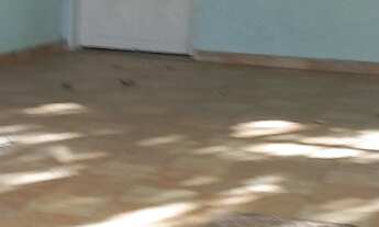 Imagem 3: Vendo casa no residencial São francisco