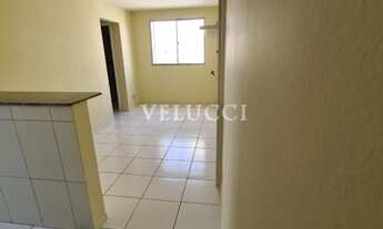 Imagem 5: Apartamento - Jardim Nova Europa - Campinas