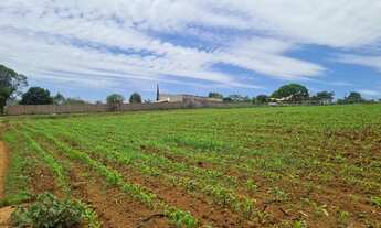 Imagem 5: Chácaras de 1.000m² centro de Serra Azul